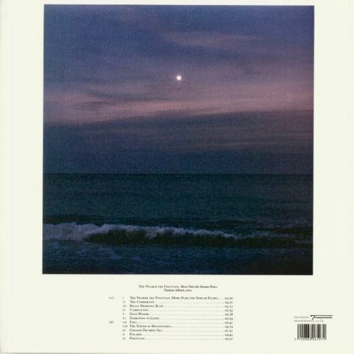 Damon Albarn - The Nearer The Fountain, More Pure The Stream Flows (Vinyl)