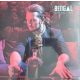Bengal (Gaál Bence) - Gathering Storm (Vinyl)
