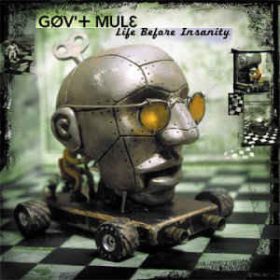   Gov't Mule - Life Before Insanity (2LP/Green & Black Swirl Vinyl)