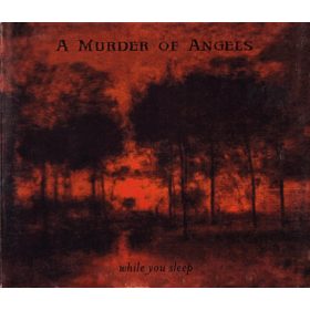 A Murder Of Angels - While You Sleep (CD)