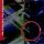 Accidental Orchestra - Allegro Absurdito (CD)