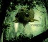 Bardoseneticcube & Igor V. Petrov - The Perpetuum Mobile Space Vehicle (CD)