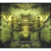 Bardoseneticcube - Deadhead (CD)