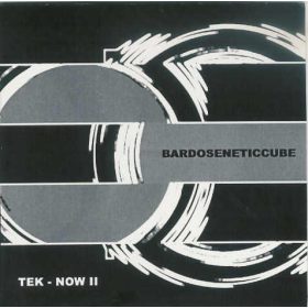 Bardoseneticcube - Tek-Now II (CD-R)
