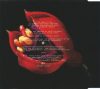 Black Lung - Profound And Sentimental Journey (CDs)