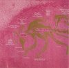 Black Lung - The Disinformation Plague (CD)