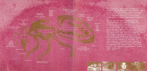 Black Lung - The Disinformation Plague (CD)