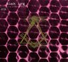 Black Lung - The Great Architect (CD)