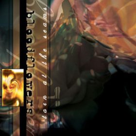 Bloodflowers - Torn At The Seams (CDs)