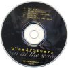 Bloodflowers - Torn At The Seams (CDs)