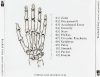 Brachial Palsy - Control And Paralysis (CD)