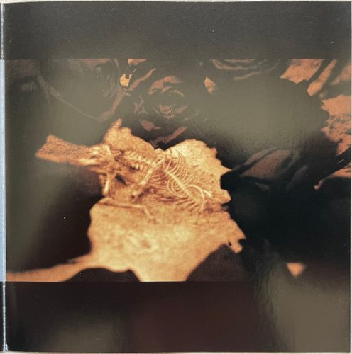 C17H19NO3 - Terra Null (CD)