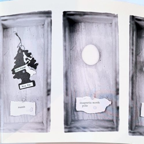 Cold Water Flat - Cold Water Flat (CD)