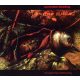 Controlled Bleeding - Dub Songs From A Shallow Grave (CD)