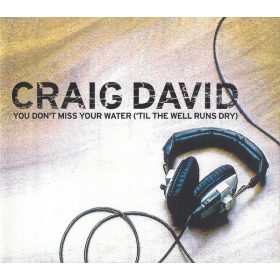   Craig David - You Don't Miss Your Water ('Til The Well Runs Dry) (CDs)