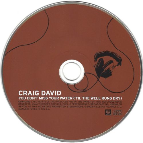 Craig David - You Don't Miss Your Water ('Til The Well Runs Dry) (CDs)