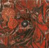 Dark Tranquillity - The Mind's I (CD)