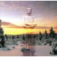 Dawn & Dusk Entwined - A Leftover Of Gaia (CD)