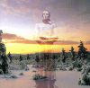 Dawn & Dusk Entwined - A Leftover Of Gaia (CD)