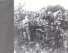 Dawn & Dusk Entwined - Forever War (CD)