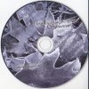 Dawn & Dusk Entwined - Septentrion (CD)
