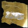 Dead Voices On Air - From Labrador To Madagascar (CD)