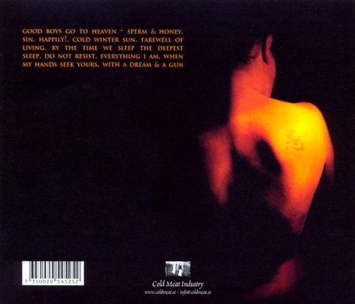 Decadence - Where Do Broken Hearts Go? (CD)
