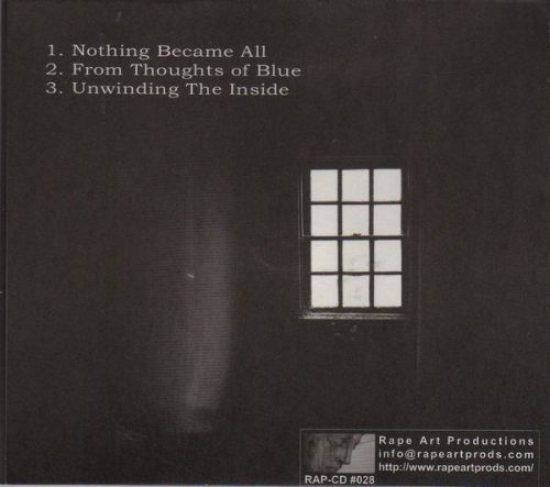 Dense Vision Shrine - Unwinding The Inside (CD)