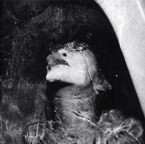 Die Form - Suspiria de Profundis (CD)
