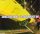 Dog Eat Dog - Step Right In (CDs)