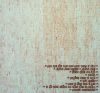 First Human Ferro - Guernica Macrocosmica (CD)