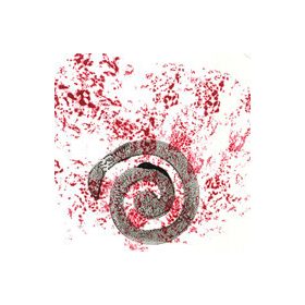 gorehallreider - A Blow To The Head (CD-R)