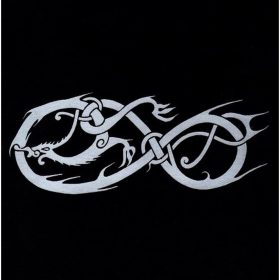 Himinbjorg - In The Raven's Shadow (CD)