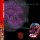 Hungry Ghost - Sugar Skulls (CD)