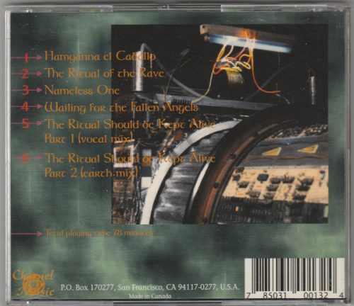 Hybryds - The Rhythm Of The Ritual (CD)