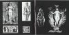 Hybryds - The Rhythm Of The Ritual (CD)