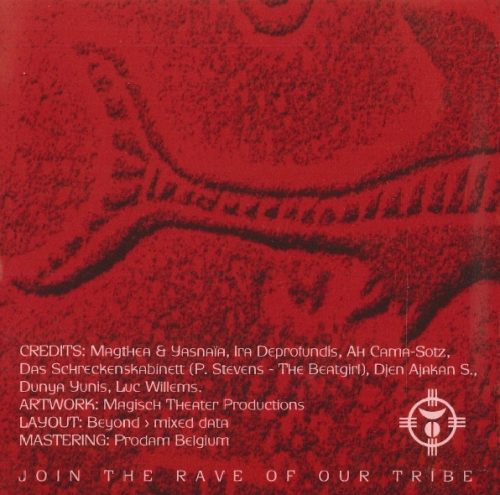 Hybryds - The Ritual Of The Rave (CD)