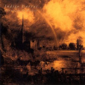 Indigo Larvae - Abandoned To Despair (CD)