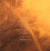 Indigo Larvae - Abandoned To Despair (CD)