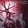 Isomer / Bonsai Kitten - The Way Of The Transgressors (CD-R)