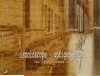 Iszoloscope · Antigen Shift - The Blood Dimmed Tide (CD)