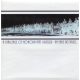 A Challenge Of Honour Feat. Krieger - Am Ende Des Tages Feiern Wir Unsere Siege (7")