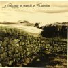 A Challenge Of Honour vs Praetorio - Hadrian's Wall (10")