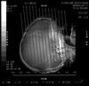 Barrikad / Hydra And Death Squad - Entropic Society / Neurology 2 (10")