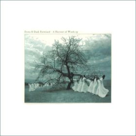   Dawn & Dusk Entwined - A Harvest Of Winds EP (10" Vinyl)