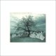 Dawn & Dusk Entwined - A Harvest Of Winds EP (10" Vinyl)