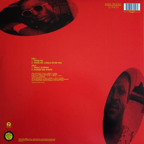 Chaka Demus & Pliers - Tease Me (12" Vinyl)
