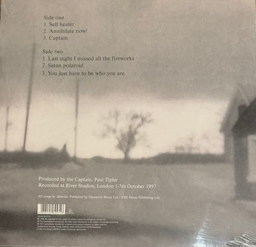 Idlewild - Captain (12" Vinyl)