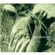 Johann Sebastian Bach - Revisited (CD)