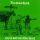 The Duke Spirit - Cuts Across The Land (CDs)